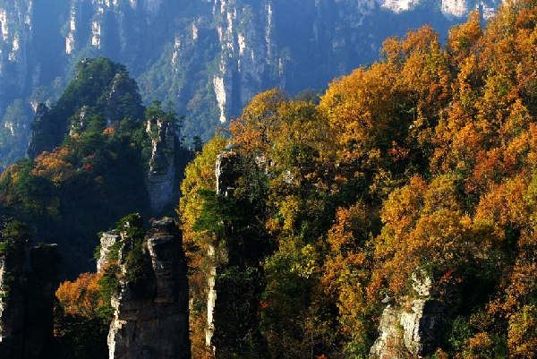 dvubb 按此在新窗口浏览图片