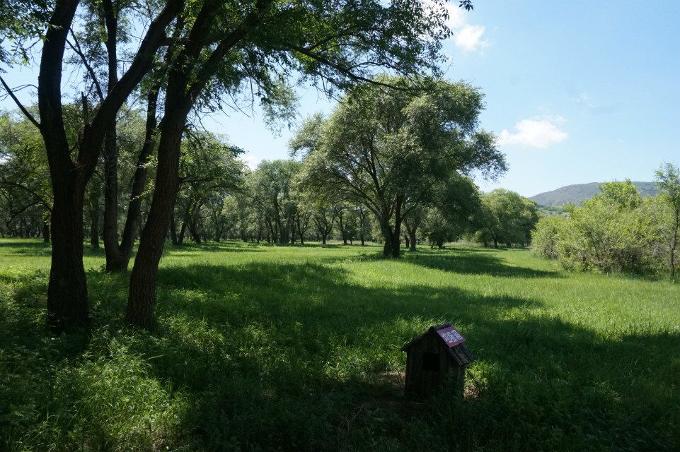 dvubb 按此在新窗口浏览图片
