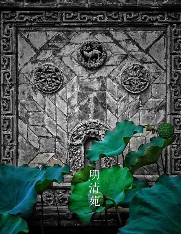dvubb 按此在新窗口浏览图片