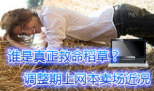 谁是真正救命稻草?调整期上网本卖场近况